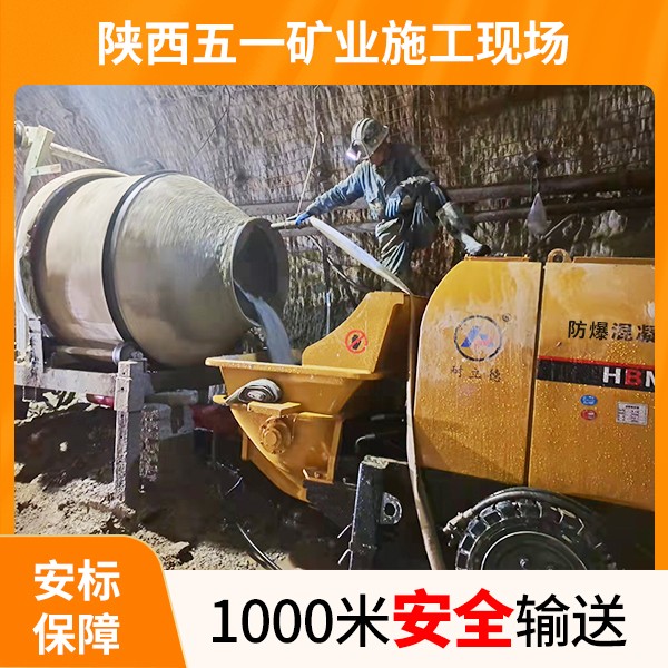 小型矿用混凝土泵.jpg