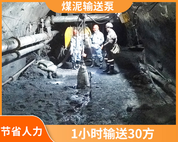 煤泥泵.jpg 煤泥泵.jpg