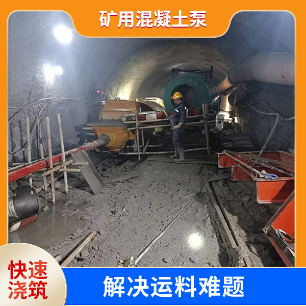 矿用输送泵jpg 矿用输送泵jpg